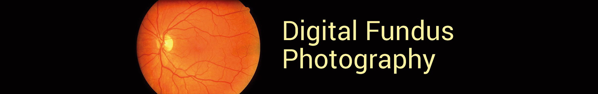 digital fundus photography page header